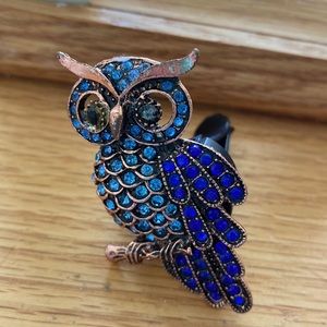 Owl Car vent clip